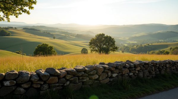 Choisir un installateur de panneaux solaires dans le Puy-de-Dôme : conseils pratiques